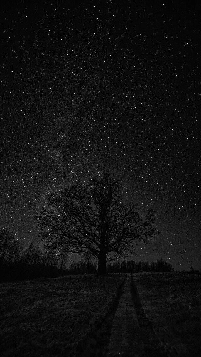 कटी उम्र होटलों में मरे अस्पताल जा कर
जवानी की दुआ लड़कों को ना-हक़ लोग देते हैं
यही लड़के मिटाते हैं जवानी को जवाँ हो कर