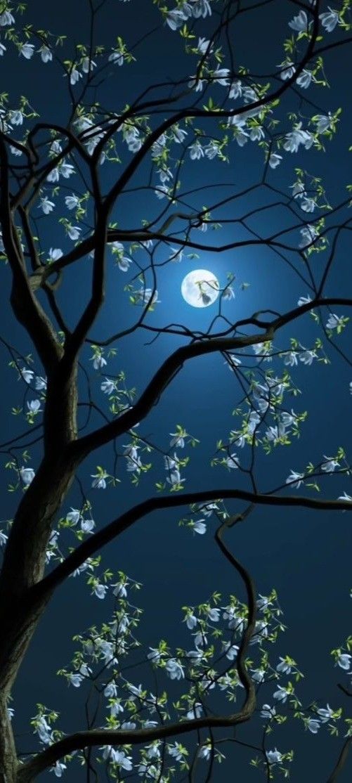 महफ़िल में जिनके आने से रोशन हुए चिराग
सजदे में जिनके झुक गया खुद देखो आफताब